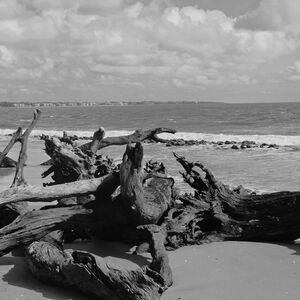 Meet your Posher, Nic